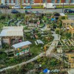 How Urbanization Threatens Communities And Landscapes Today