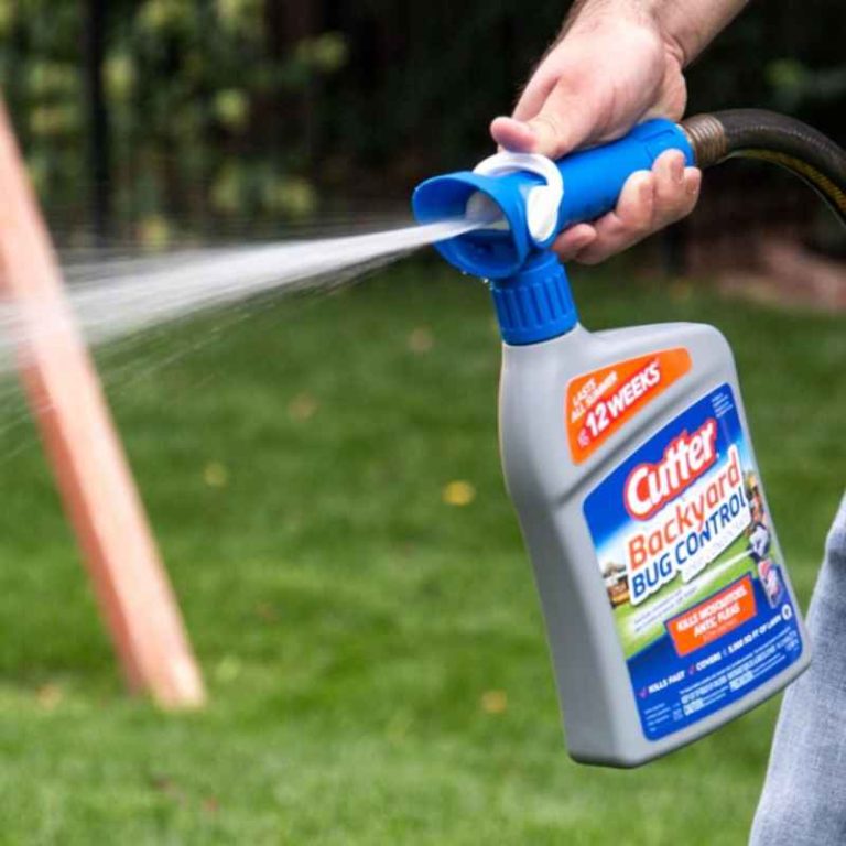 Is Cutter Backyard Spray Safe For Vegetable Gardens