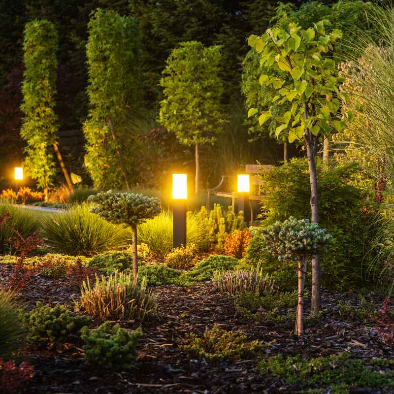 Is Daniel Stone Botanical Gardens Christmas Display Open Daily?