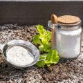 Is Diatomaceous Earth Safe For Vegetable Gardens?