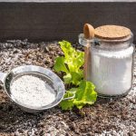 Is Diatomaceous Earth Safe For Vegetable Gardens?