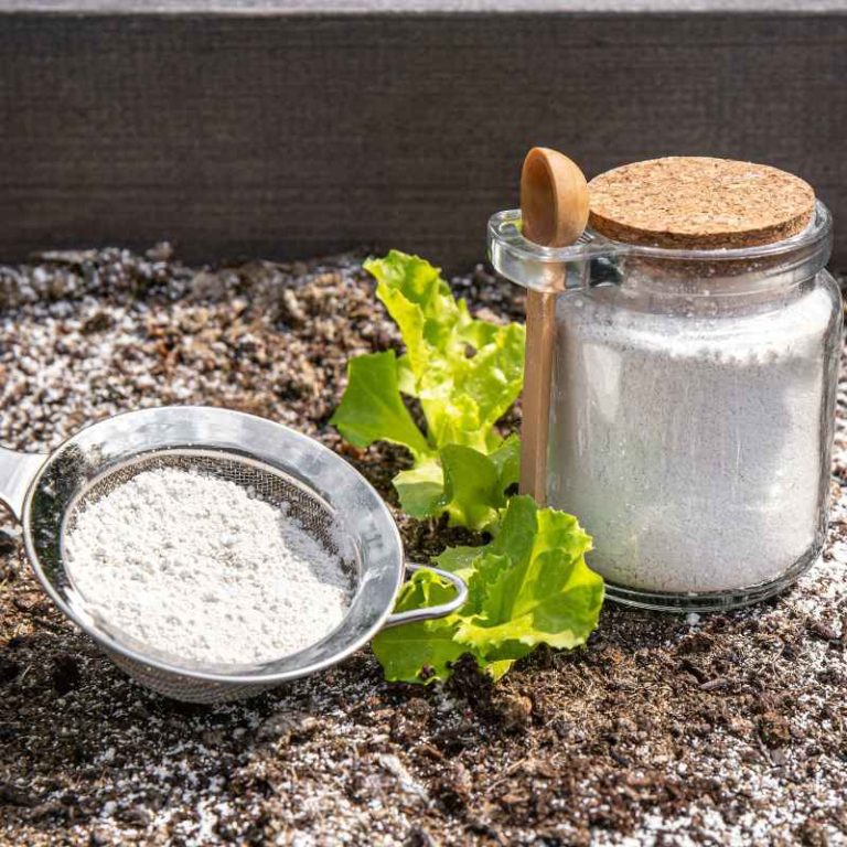 Is Diatomaceous Earth Safe For Vegetable Gardens?