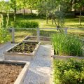 Is Ground Contact Lumber Safe For Vegetable Gardens?