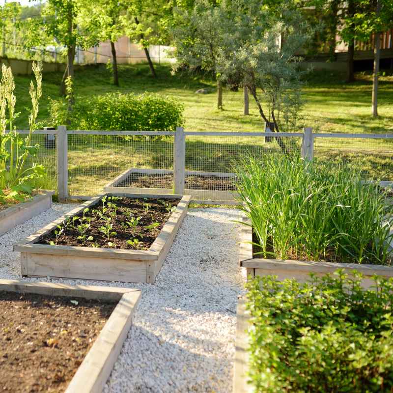 Is Ground Contact Lumber Safe For Vegetable Gardens?