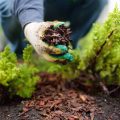 Is Home Depot Mulch Safe For Vegetable Gardens