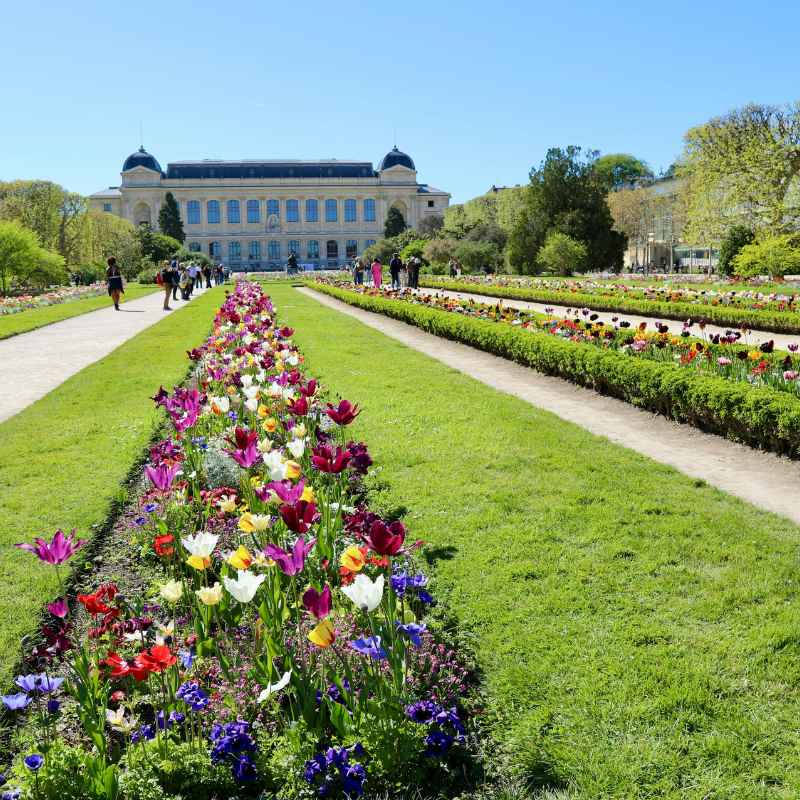Is It Cheaper To Buy Atlanta Botanical Gardens Tickets Online?