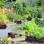 Is Pressure Treated Wood Safe For Vegetable Gardens