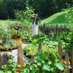 Is Weathershield Wood Safe For Vegetable Gardens?