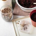 Should I Soak Nasturtium Seeds Before Planting