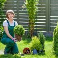 Should You Hire A Landscaping Business Consultant