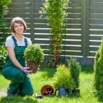 Should You Hire A Landscaping Business Consultant