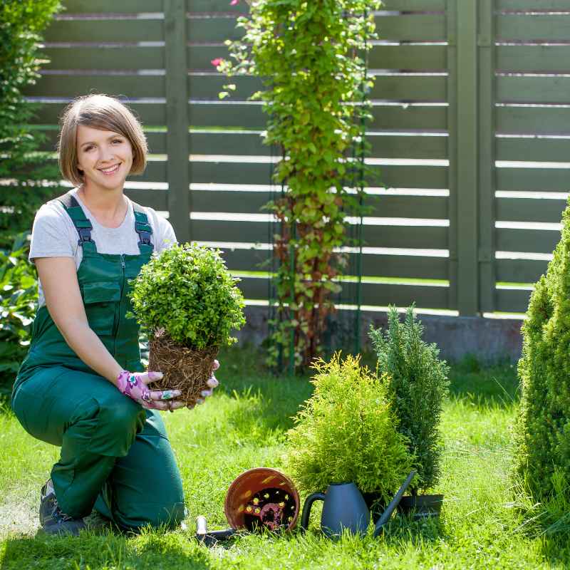 Should You Hire A Landscaping Business Consultant