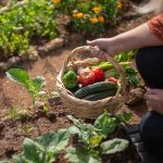 Was 2019 A Bad Year For Vegetable Gardens In Ohio