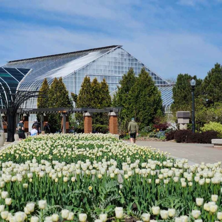What Educational Benefits Do Botanical Gardens Offer Visitors?