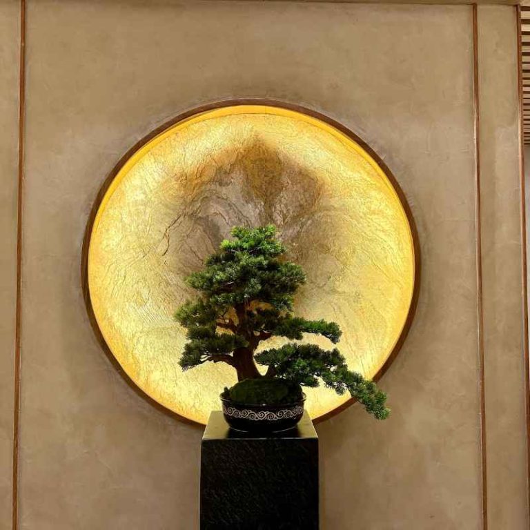 What Happens If You Grow Juniper Bonsai Indoors