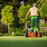 What Is The Difference Between A Gardener And A Landscaper