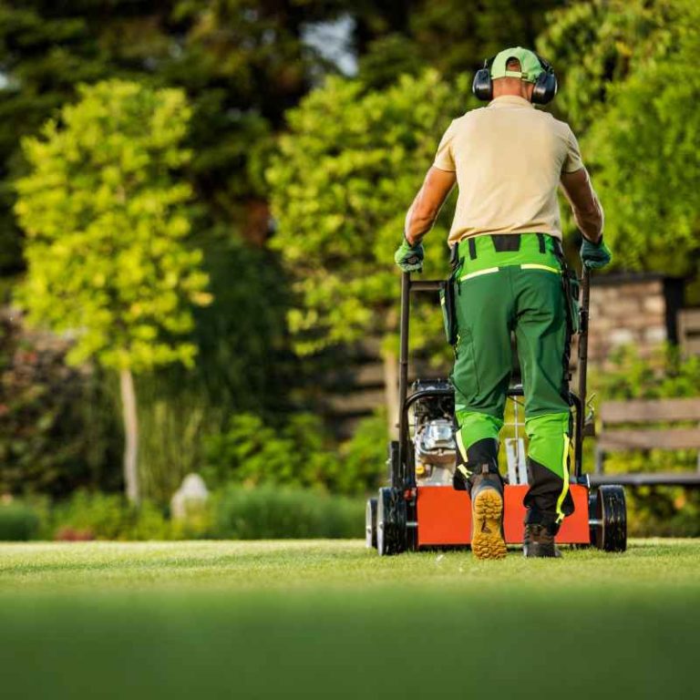 What Is The Difference Between A Gardener And A Landscaper