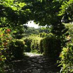 What Is The Drive Time From Reykjavik To Iceland Botanical Gardens?