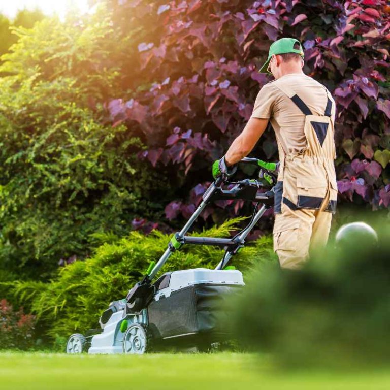 Where To Buy A Concrete Border Machine For Landscaping