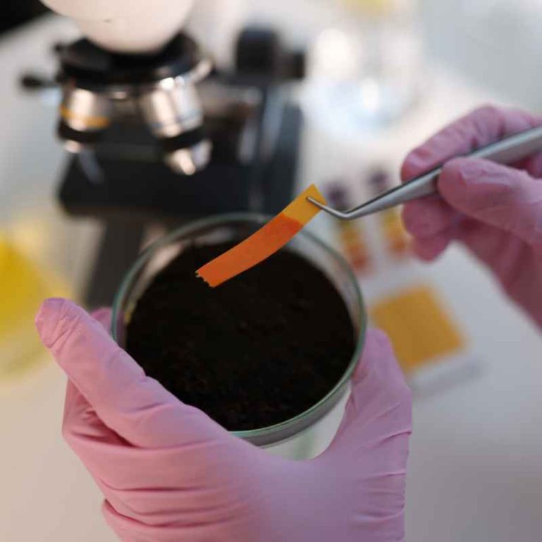 Which Of These Are Common Soil Classification Tests