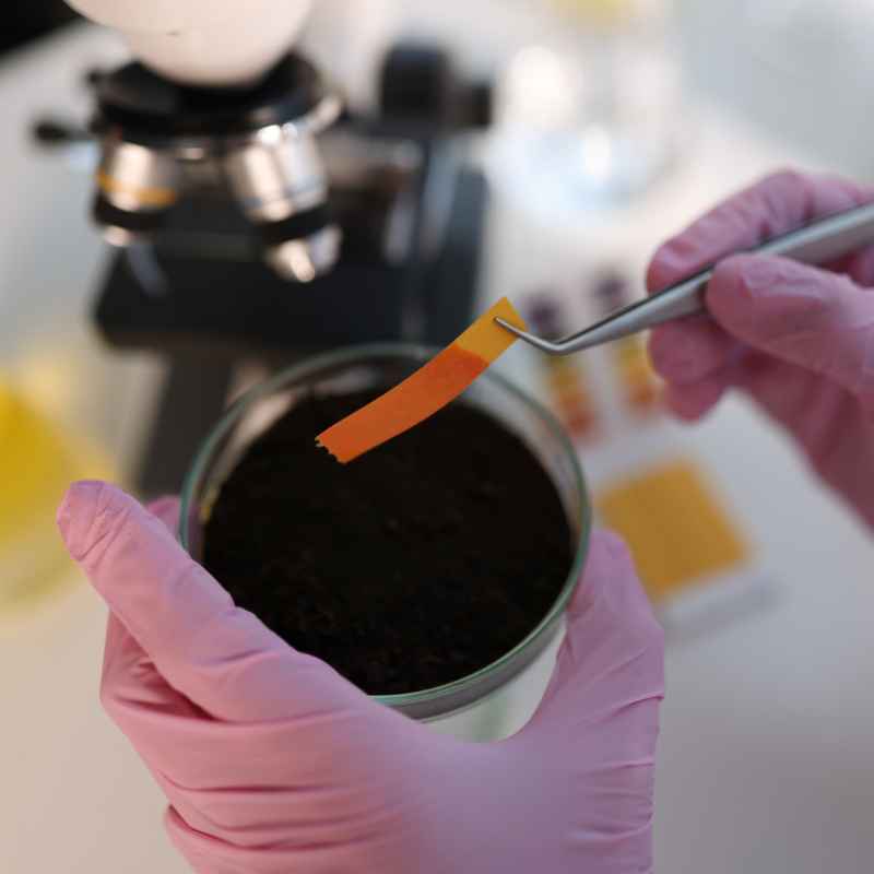 Which Of These Are Common Soil Classification Tests