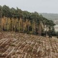 Which Of These Is Most Likely To Minimize Soil Erosion