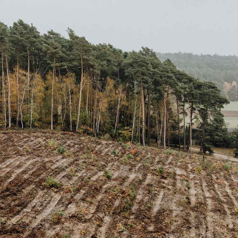 Which Of These Is Most Likely To Minimize Soil Erosion
