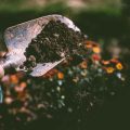 Which Statements Accurately Describe Soil