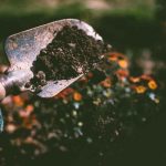 Which Statements Accurately Describe Soil
