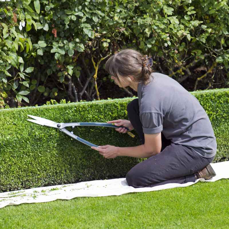Who Is Responsible For Landscaping