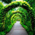 Who Manages The Store At Brooklyn Botanical Gardens?