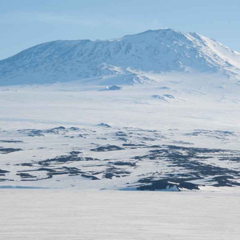 Why Does Antarctica'S Soil Have Little Organic Content?
