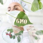 Why Gmo Modification Works Differently For Plants And Animals