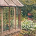 Why You Should Have Vegetable Gardens In Your Backyard