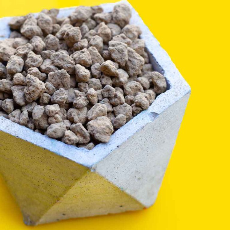 Can Potting Soil With Miracle-Gro Actually Work for Bonsai?