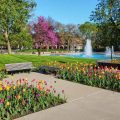 Can You Be Barefoot At The Fort Wayne Botanical Gardens?
