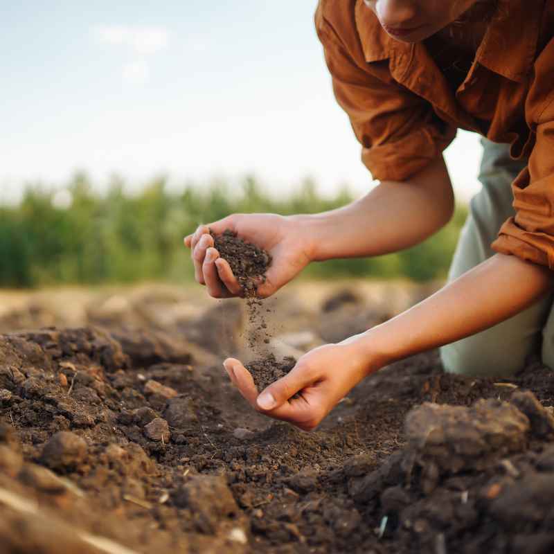 Common Misconceptions About Organic Farming and Soil Health