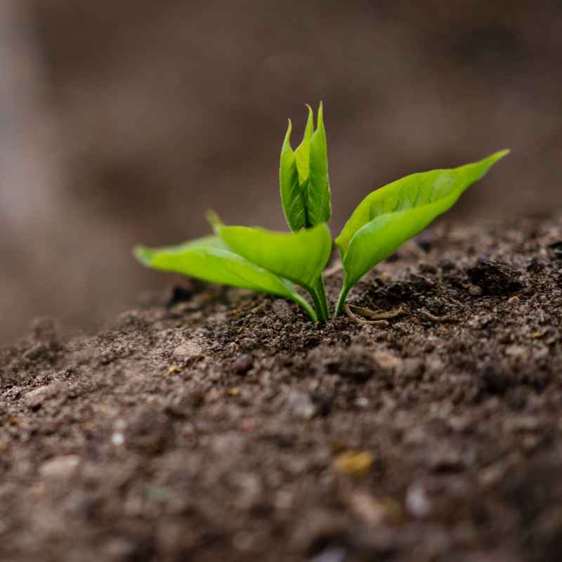 Common Misconceptions About Soil Particle Size