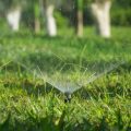 Do Different Drip Irrigation System Brands Work Together?