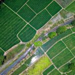 Does Drip Irrigation Increase Or Decrease Groundwater Recharge?