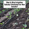 How Is Drip Irrigation Subsidy Calculated for New Installs