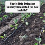 How Is Drip Irrigation Subsidy Calculated for New Installs