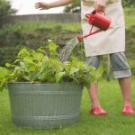 How Knowing Plant Anatomy Can Seriously Improve Your Garden
