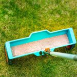 How Long to Wait After Fertilizing Before Seeding Lawn