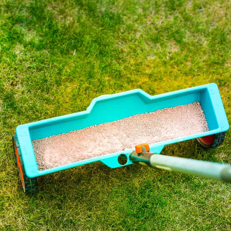 How Long to Wait After Fertilizing Before Seeding Lawn