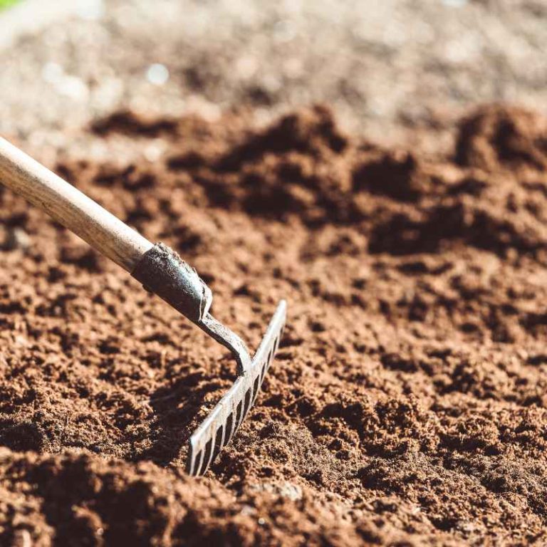How Organic Farming Practices Relate to Soil Health