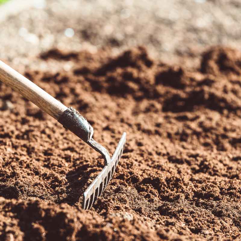How Organic Farming Practices Relate to Soil Health