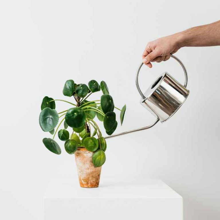 How To Install A Self Watering Gauge In Your Garden Planter