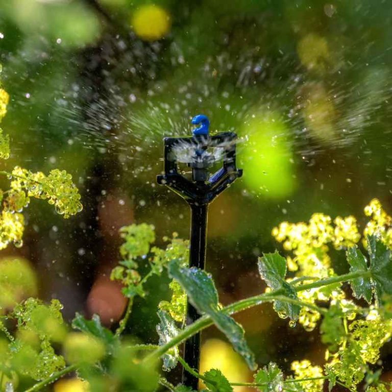 How To Program An Automatic Drip Irrigation System Step By Step
