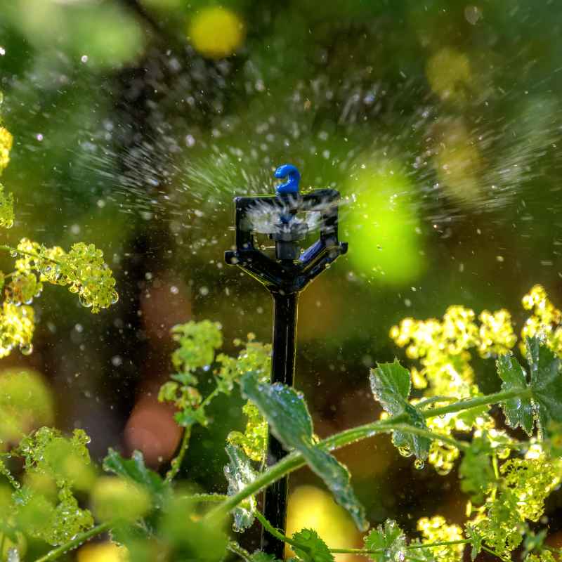 How To Program An Automatic Drip Irrigation System Step By Step